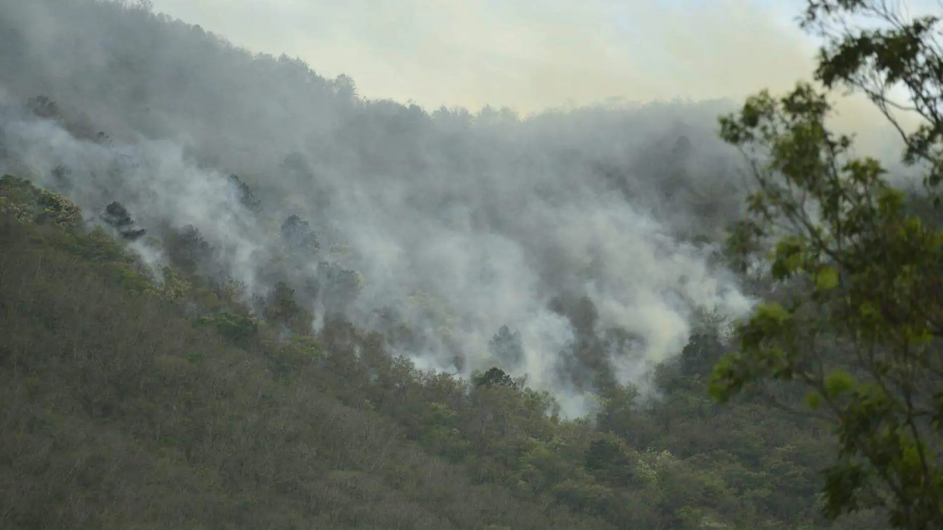 incendio forestal CUARTOSCURO.2